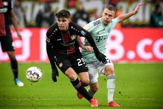 年波士顿凯 年波士顿凯